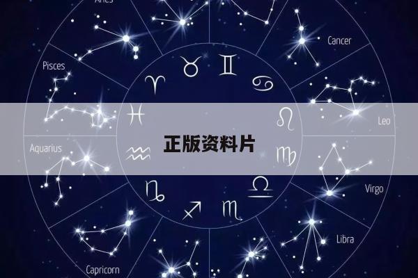 正版资料片