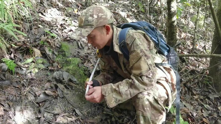 杭州金钱豹外逃4年,杭州金钱豹外逃视频