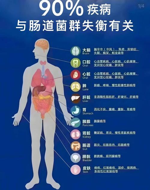 体重跟肠道也有关系,体重跟肠道也有关系吗