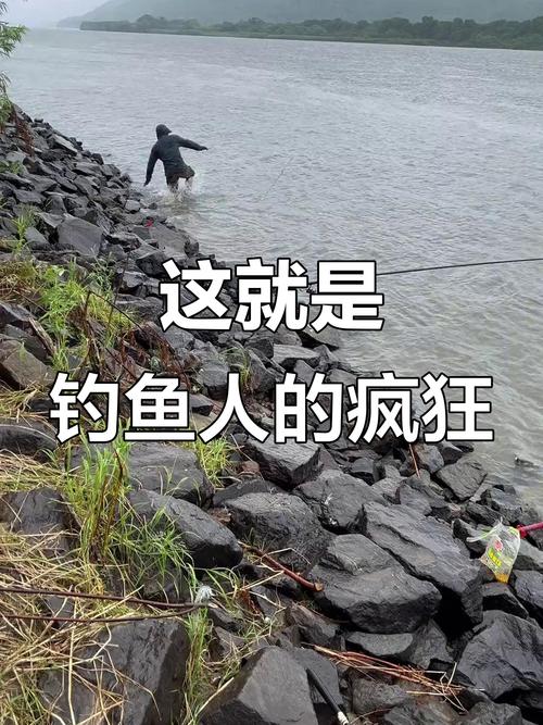 保护区里的疯狂垂钓,保护区里的疯狂垂钓是什么